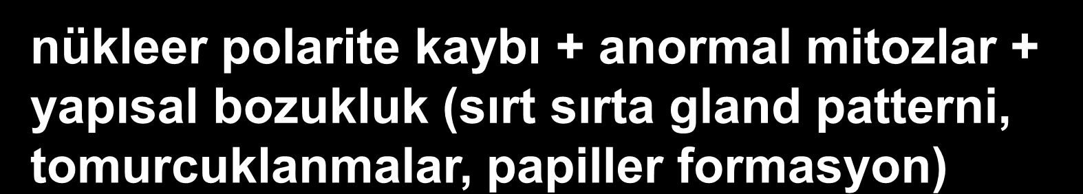 Prekanseröz atipi Displazi (intraepitelyal neoplazi) = Hiperbazofili, nükleer, nükleoler büyüme, mitotik aktivitede artış, azalmış hücre