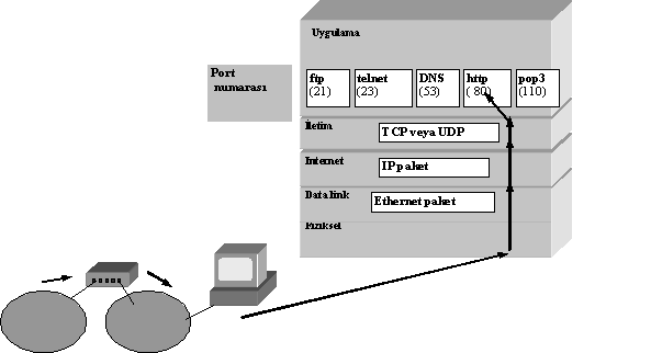 3.1. Port Numaraları İnternet katmanı kullanarak belirtilen yol üzerinden IP paketi hedef bilgisayara gönderebiliriz. Fakat genellikle bilgisayarımızda birden çok program birlikte çalışmaktadır.