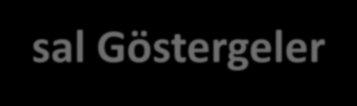 Finansal Göstergeler Grup Konsolide Temel Göstergeler $ Mil 2008 2009 2010 2011 2012 2013 Net Satışlar 2,885 2,357 2,806 2,980 2.971 3.