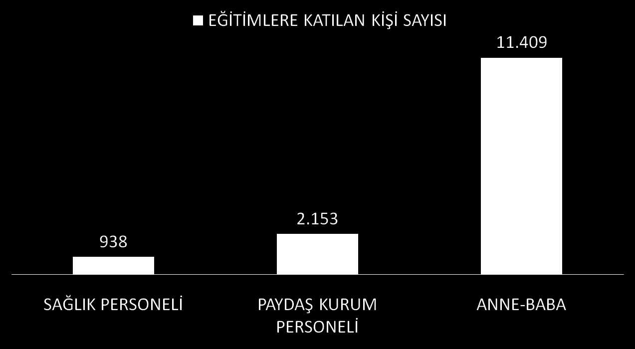 Yürütülen Çalışmalarla