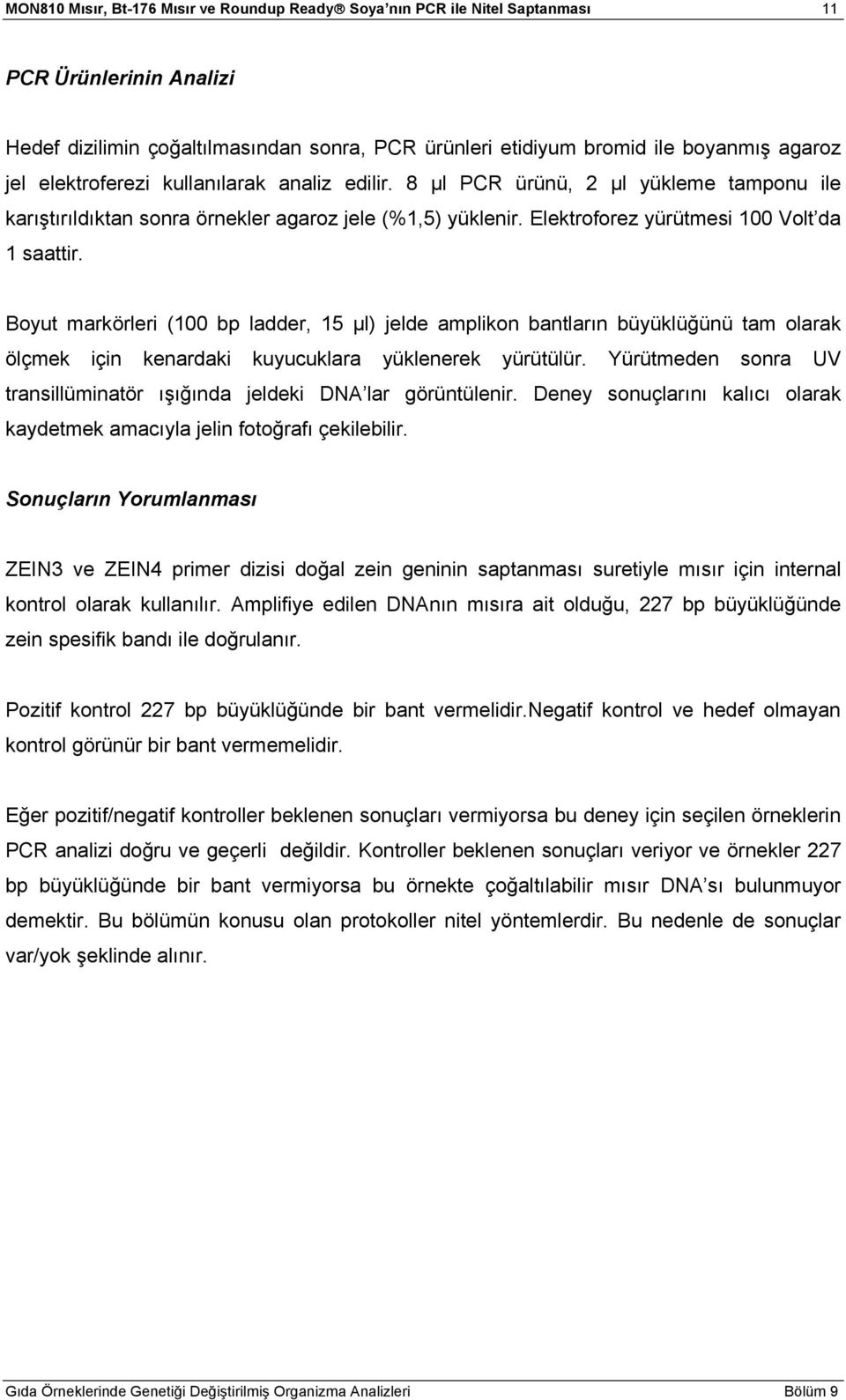 Boyut markörleri (100 bp ladder, 15 µl) jelde amplikon bantların büyüklüğünü tam olarak ölçmek için kenardaki kuyucuklara yüklenerek yürütülür.