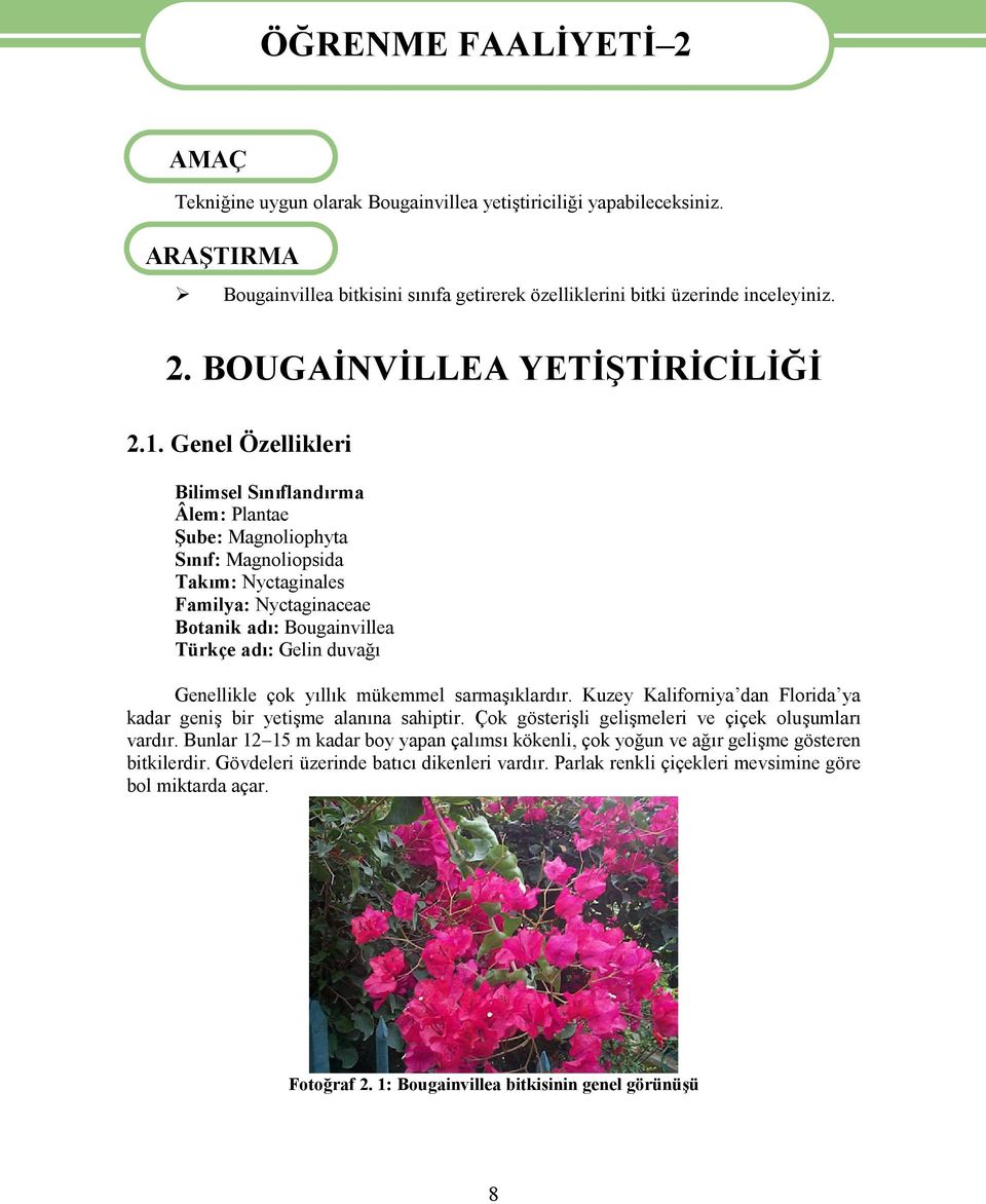 Genel Özellikleri Bilimsel Sınıflandırma Âlem: Plantae Şube: Magnoliophyta Sınıf: Magnoliopsida Takım: Nyctaginales Familya: Nyctaginaceae Botanik adı: Bougainvillea Türkçe adı: Gelin duvağı