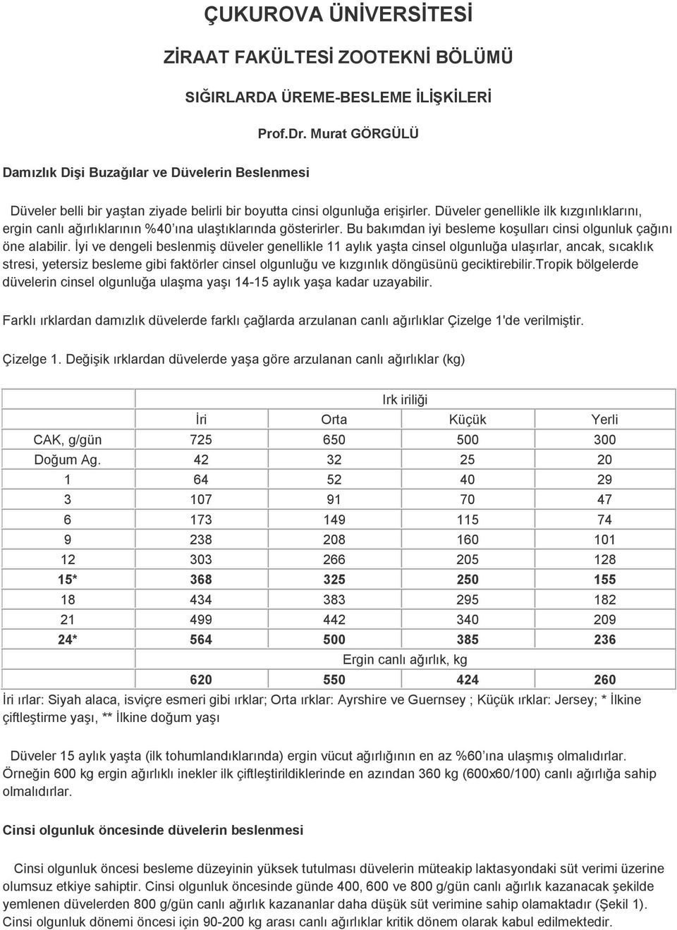 Düveler genellikle ilk kızgınlıklarını, ergin canlı ağırlıklarının %40 ına ulaştıklarında gösterirler. Bu bakımdan iyi besleme koşulları cinsi olgunluk çağını öne alabilir.