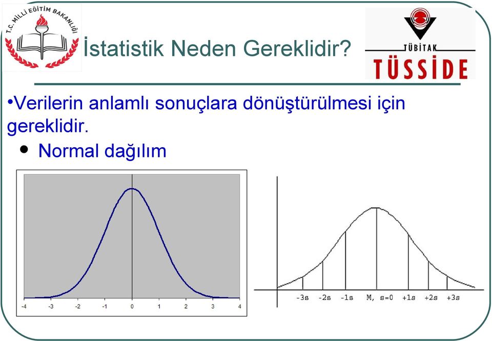 Verilerin anlamlı