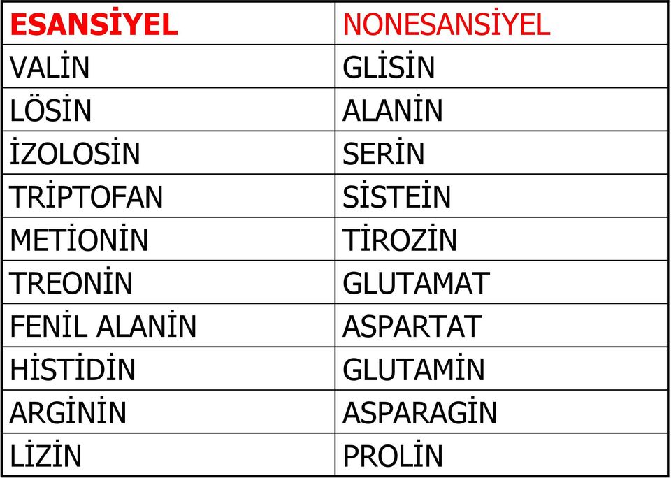 LİZİN NONESANSİYEL GLİSİN ALANİN SERİN SİSTEİN