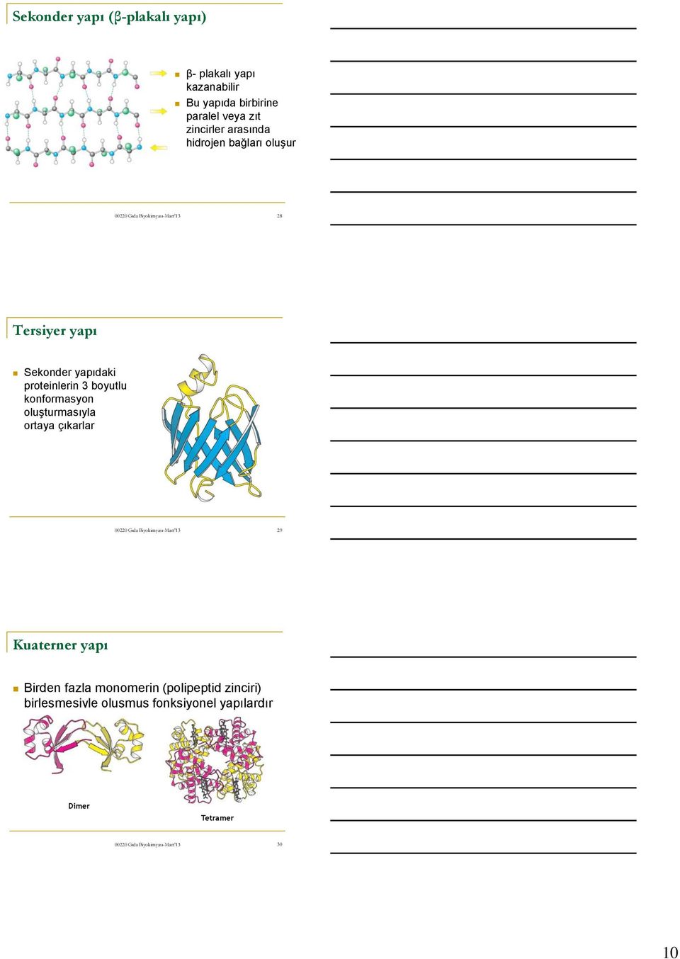 proteinlerin 3 boyutlu konformasyon oluşturmasıyla ortaya çıkarlar 29 Kuaterner yapı Birden