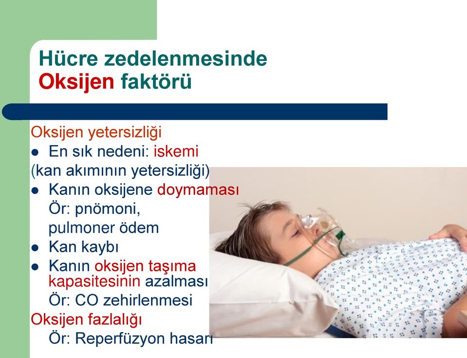 Ör: pnömoni, pulmoner ödem Kan kaybı Kanın oksijen taşıma