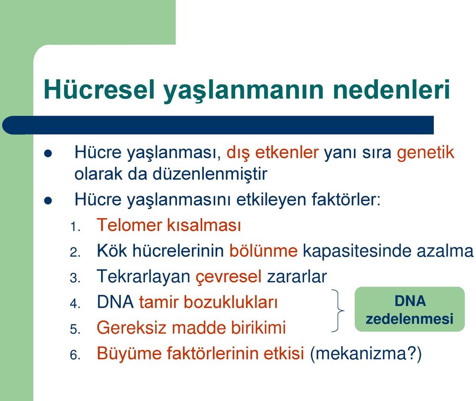 Kök hücrelerinin bölünme kapasitesinde azalma 3. Tekrarlayan çevresel zararlar 4.