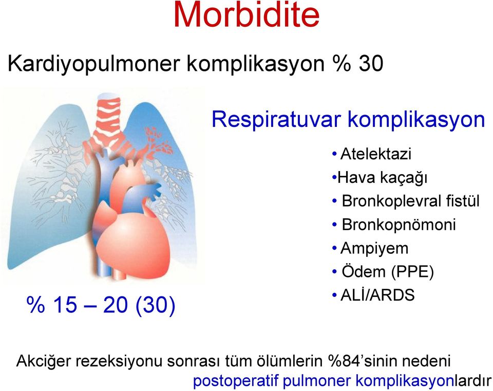 fistül Bronkopnömoni Ampiyem Ödem (PPE) ALİ/ARDS Akciğer