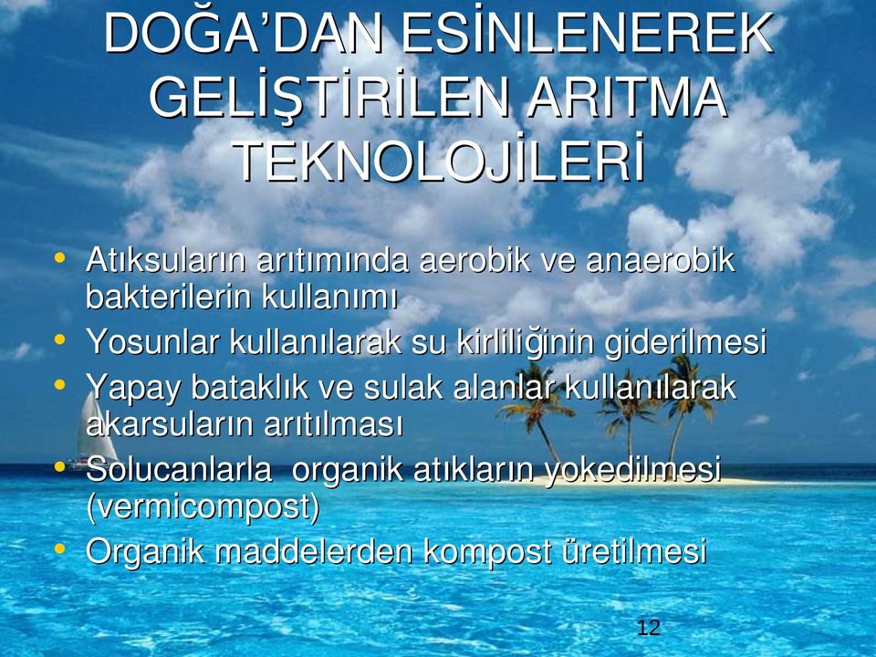 giderilmesi Yapay bataklık ve sulak alanlar kullanılarak akarsuların arıtılması