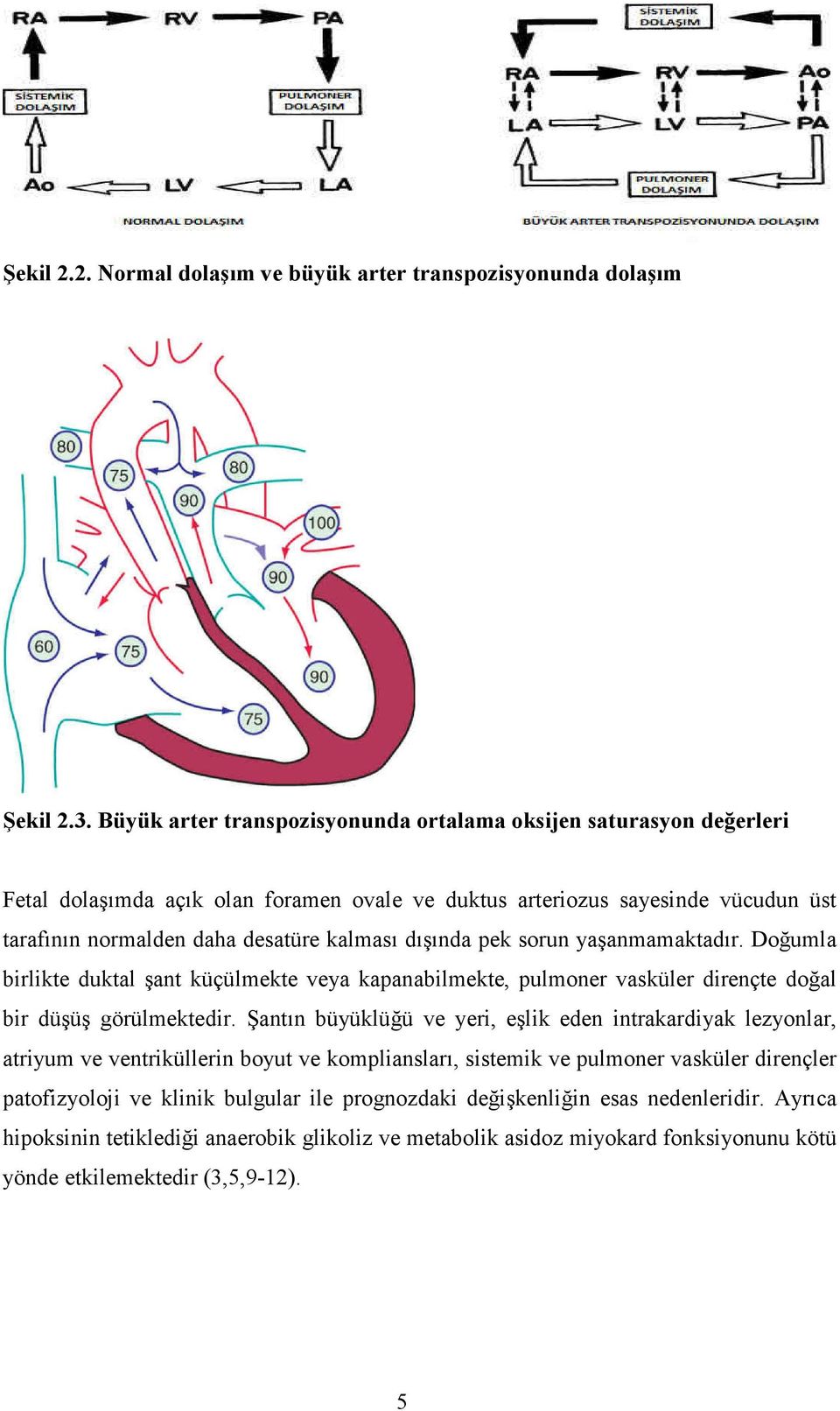 dışında pek sorun yaşanmamaktadır. Doğumla birlikte duktal şant küçülmekte veya kapanabilmekte, pulmoner vasküler dirençte doğal bir düşüş görülmektedir.