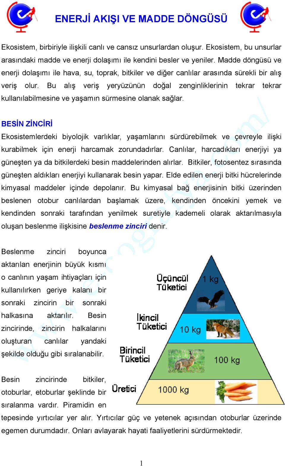 Bu alış veriş yeryüzünün doğal zenginliklerinin tekrar tekrar kullanılabilmesine ve yaşamın sürmesine olanak sağlar.