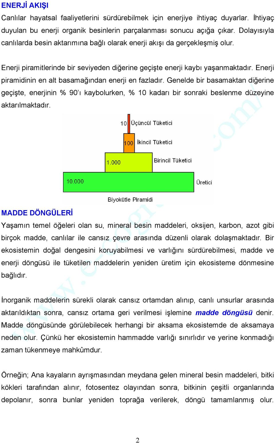 Enerji piramidinin en alt basamağından enerji en fazladır. Genelde bir basamaktan diğerine geçişte, enerjinin % 90 ı kaybolurken, % 10 kadarı bir sonraki beslenme düzeyine aktarılmaktadır.