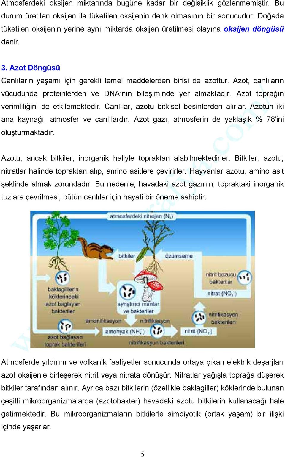 Azot, canlıların vücudunda proteinlerden ve DNA nın bileşiminde yer almaktadır. Azot toprağın verimliliğini de etkilemektedir. Canlılar, azotu bitkisel besinlerden alırlar.