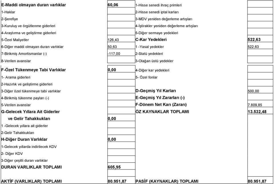 522,63 7-Birikmiş Amortismanlar (-) -117,00 2-Statü yedekleri 8-Verilen avanslar 3-Olağan üstü yedekler F-Özel Tükenmeye Tabi Varlıklar 0,00 4-Diğer kar yedekleri 1- Arama giderleri 5- Özel fonlar