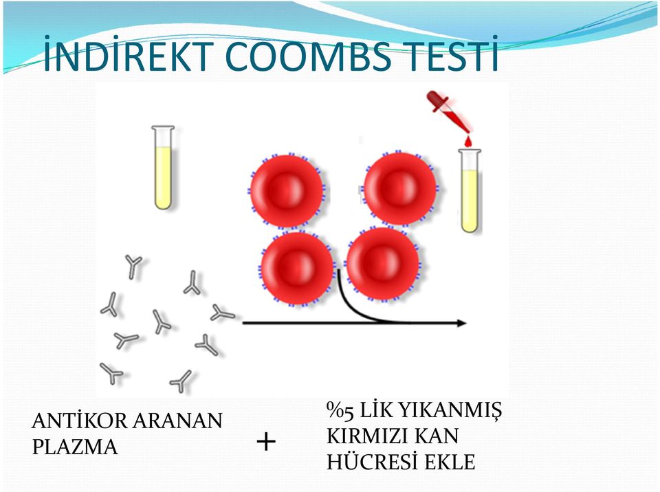 Prof Dr Davut Albayrak Ondokuz mayıs üniversitesi Tıp Fakültesi Kan merkezi  Ve çocuk hematoloji BD -Samsun - PDF Free Download