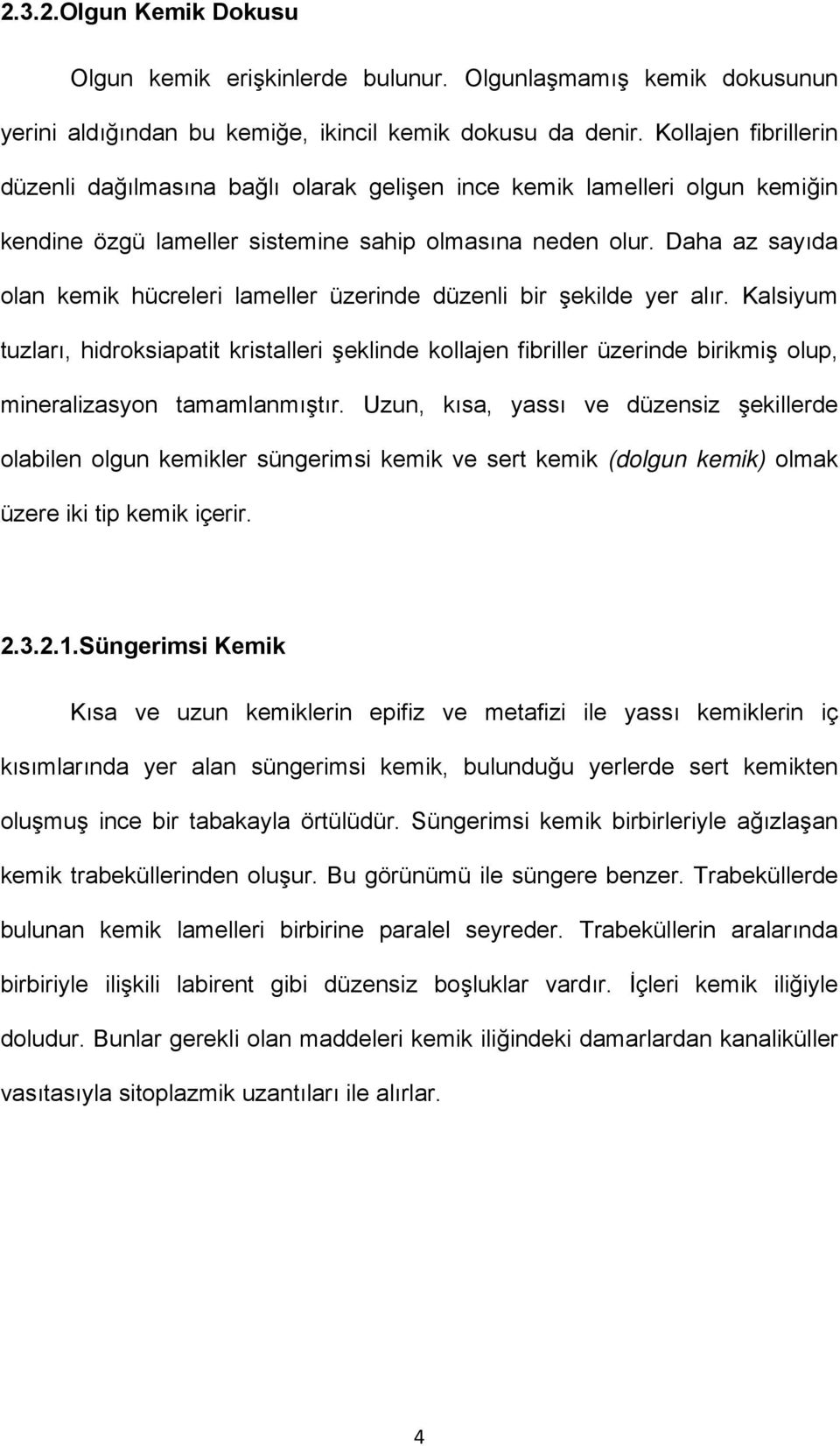 Daha az sayıda olan kemik hücreleri lameller üzerinde düzenli bir şekilde yer alır.