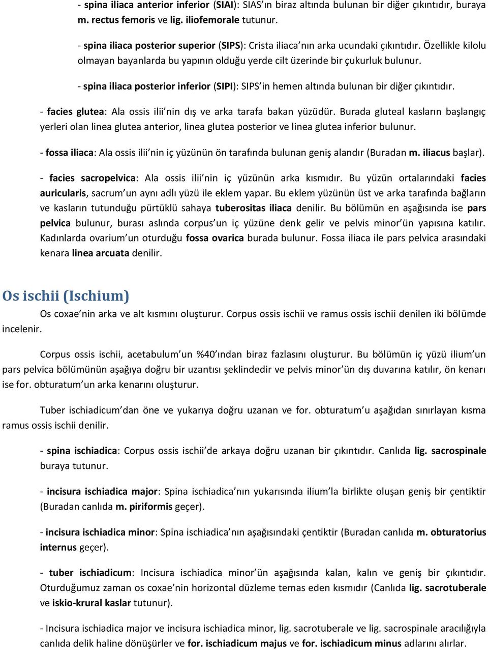 - spina iliaca posterior inferior (SIPI): SIPS in hemen altında bulunan bir diğer çıkıntıdır. - facies glutea: Ala ossis ilii nin dış ve arka tarafa bakan yüzüdür.