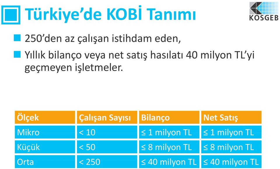 Ölçek Çalışan Sayısı Bilanço Net Satış Mikro < 10 1 milyon TL 1