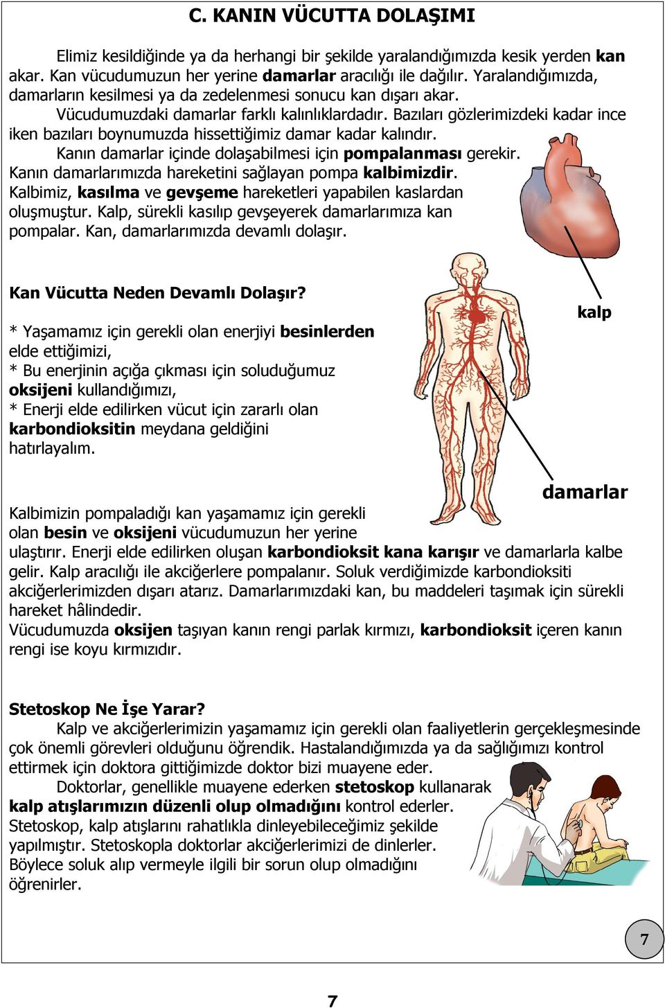 Bazıları gözlerimizdeki kadar ince iken bazıları boynumuzda hissettiğimiz damar kadar kalındır. Kanın damarlar içinde dolaşabilmesi için pompalanması gerekir.