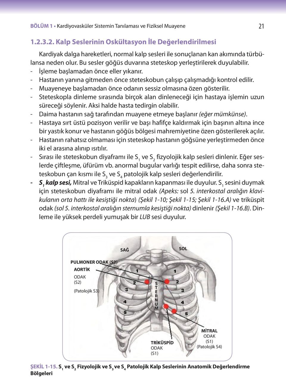 Bu sesler göğüs duvarına steteskop yerleştirilerek duyulabilir. - İşleme başlamadan önce eller yıkanır. - Hastanın yanına gitmeden önce steteskobun çalışıp çalışmadığı kontrol edilir.