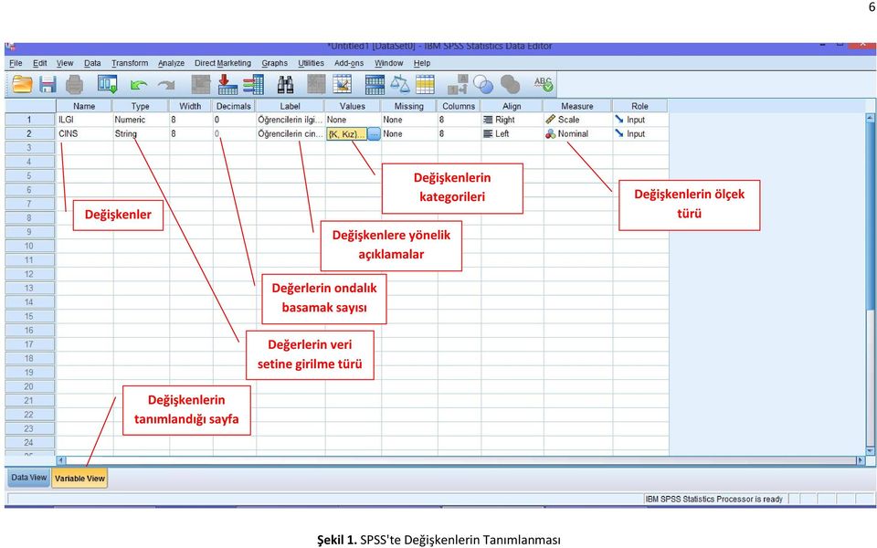 ölçek türü Değerlerin veri setine girilme türü Değişkenlerin