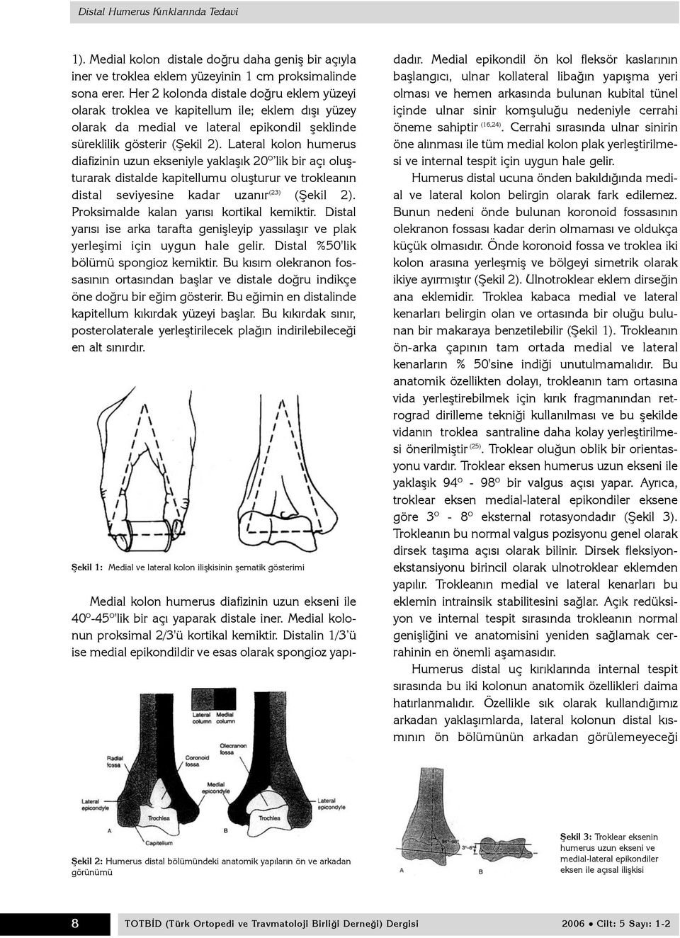 Lateral kolon humerus diafizinin uzun ekseniyle yaklaþýk 20 O lik bir açý oluþturarak distalde kapitellumu oluþturur ve trokleanýn distal seviyesine kadar uzanýr (23) (Þekil 2).