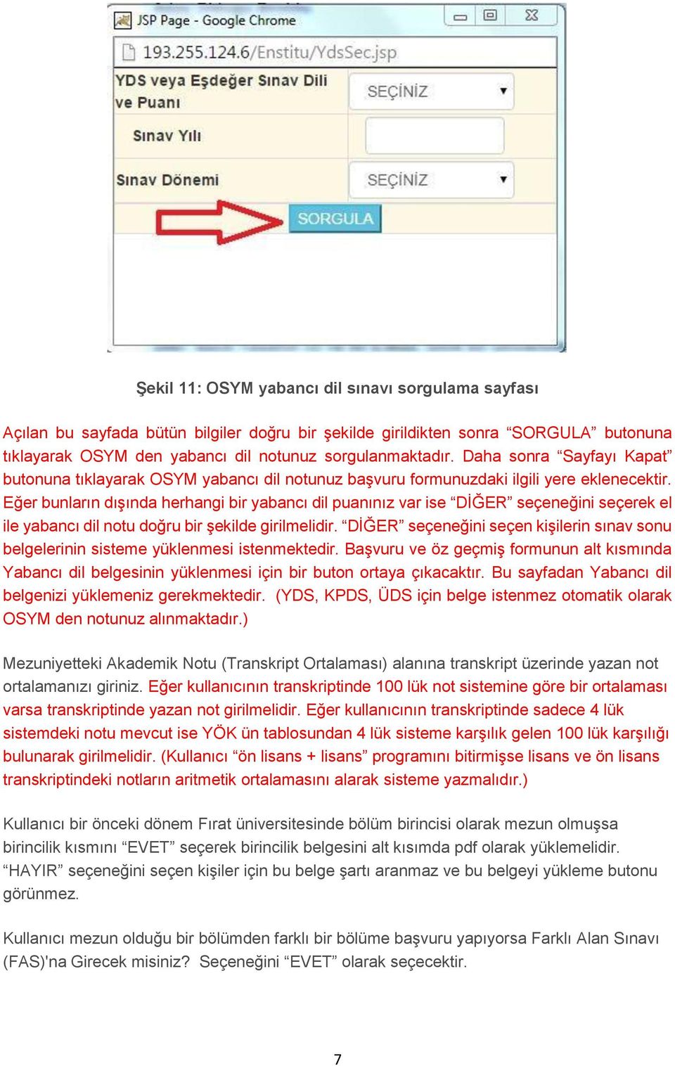 Eğer bunların dışında herhangi bir yabancı dil puanınız var ise DİĞER seçeneğini seçerek el ile yabancı dil notu doğru bir şekilde girilmelidir.