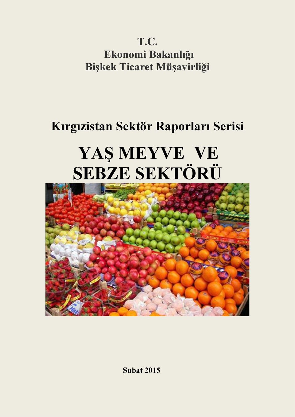 Kırgızistan Sektör Raporları