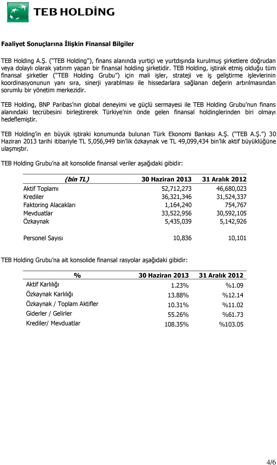 TEB Holding, iştirak etmiş olduğu tüm finansal şirketler ( TEB Holding Grubu ) için mali işler, strateji ve iş geliştirme işlevlerinin koordinasyonunun yanı sıra, sinerji yaratılması ile hissedarlara