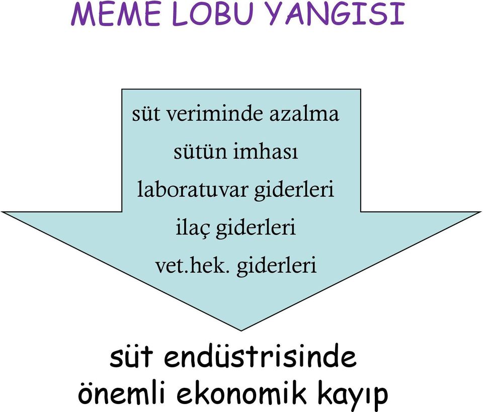 giderleri ilaç giderleri vet.hek.