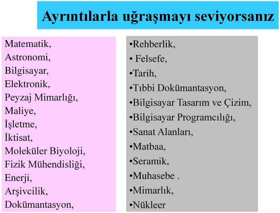 Arşivcilik, Dokümantasyon, Rehberlik, Felsefe, Tarih, Tıbbi Dokümantasyon, Bilgisayar