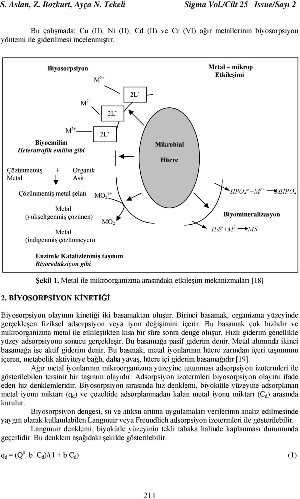 MHPO 4 Metal (yükseltgenmiş çözünen) Metal (indigenmiş çözünmeyen) MO 2 Biyomineralizasyon H 2 S - +M 2+ MS Enzimle Katalizlenmiş taşınım Biyoredüksiyon gibi Şekil 1.