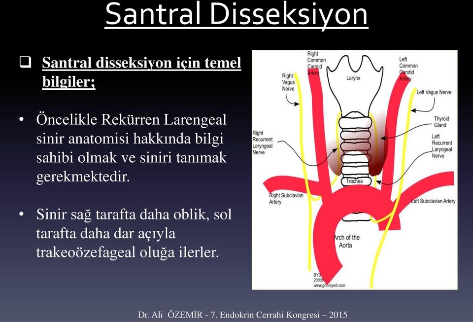 olmak ve siniri tanımak gerekmektedir.