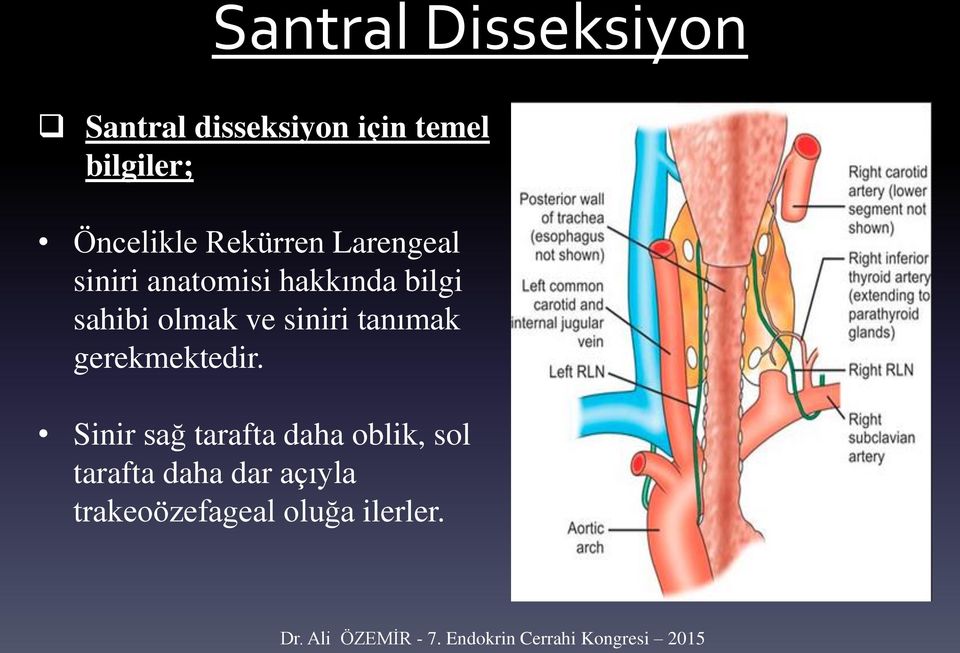 olmak ve siniri tanımak gerekmektedir.