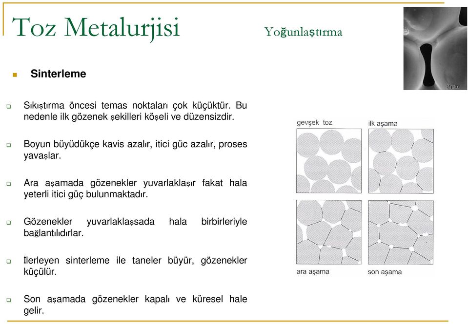 Boyun büyüdükçe kavis azalır, itici güc azalır, proses yavaşlar.