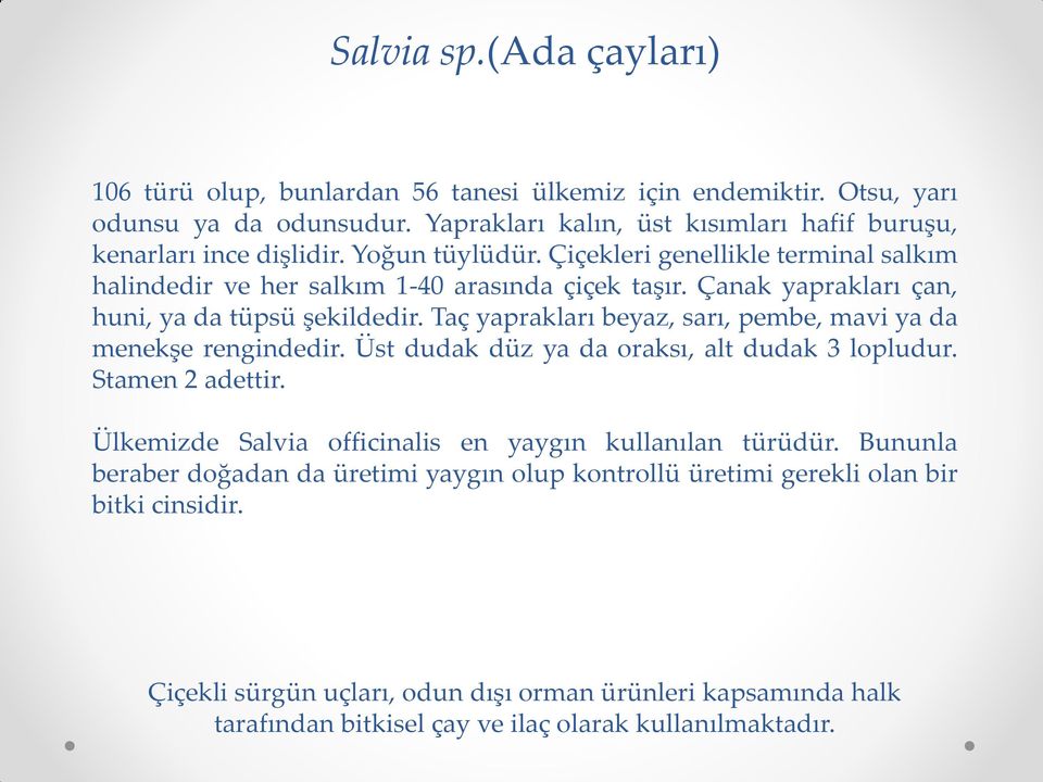 Taç yaprakları beyaz, sarı, pembe, mavi ya da menekşe rengindedir. Üst dudak düz ya da oraksı, alt dudak 3 lopludur. Stamen 2 adettir.