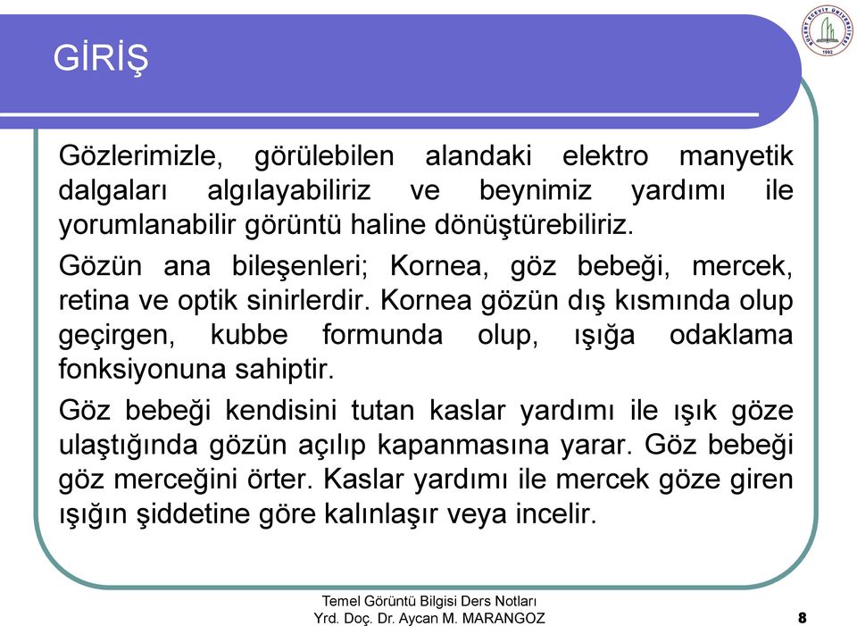 Kornea gözün dış kısmında olup geçirgen, kubbe formunda olup, ışığa odaklama fonksiyonuna sahiptir.