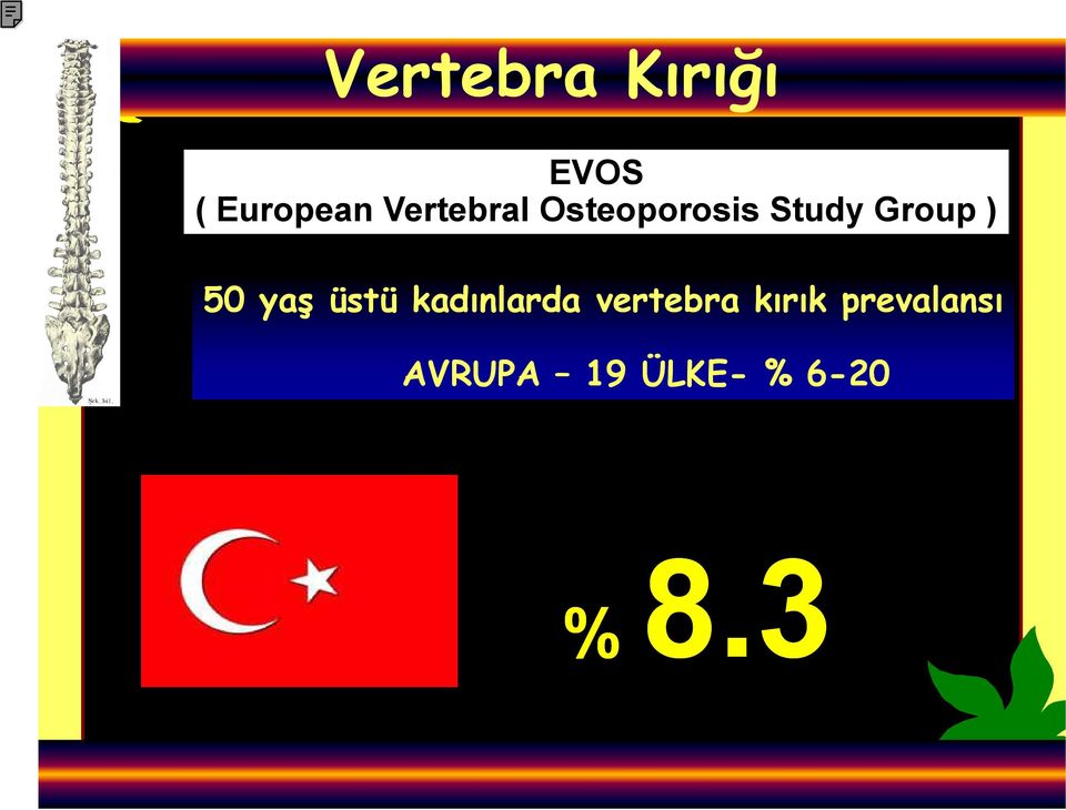 50 yaş üstü kadınlarda vertebra