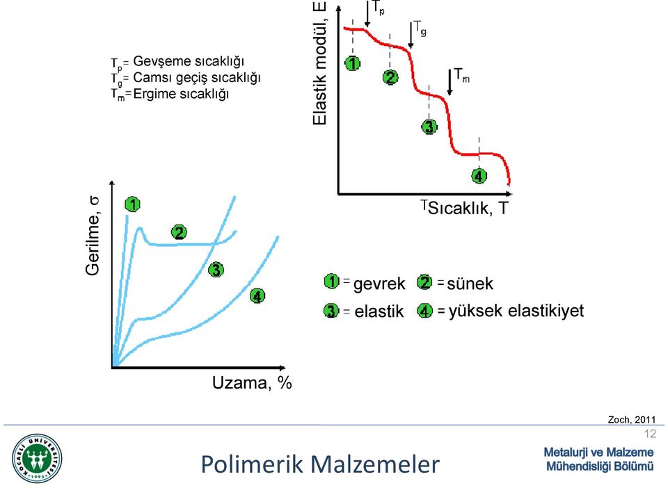 sıcaklığı Sıcaklık, T gevrek elastik