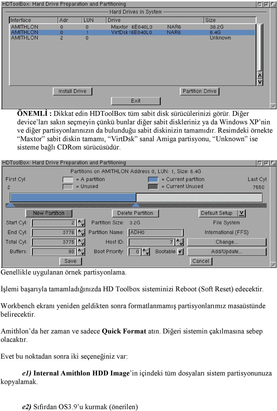 Resimdeki örnekte Maxtor sabit diskin tamamı, VirtDsk sanal Amiga partisyonu, Unknown ise sisteme bağlı CDRom sürücüsüdür. Genellikle uygulanan örnek partisyonlama.