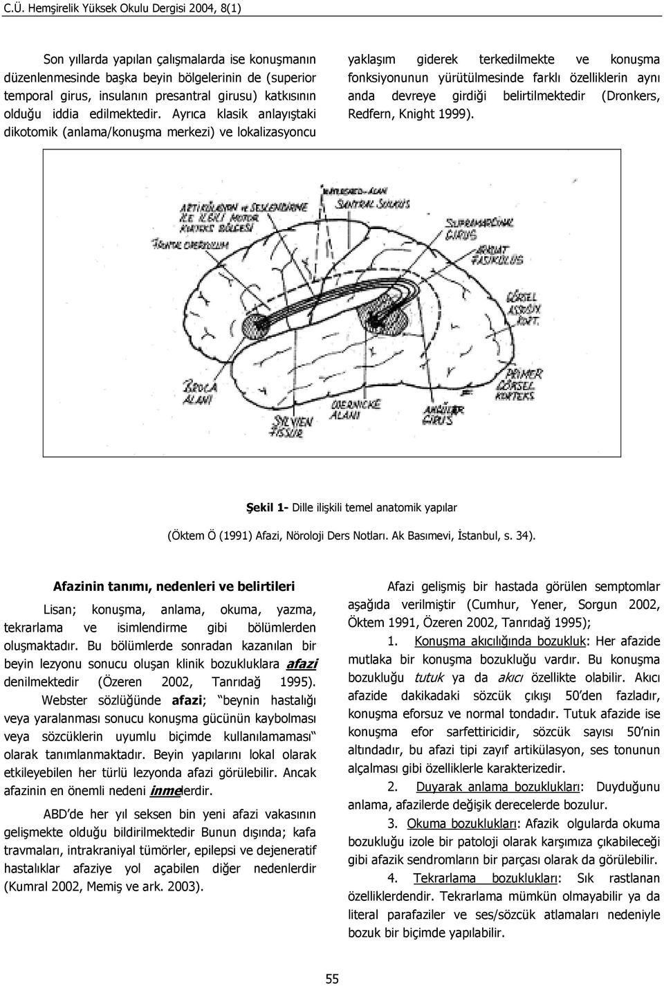 belirtilmektedir (Dronkers, Redfern, Knight 1999). Şekil 1- Dille ilişkili temel anatomik yapılar (Öktem Ö (1991) Afazi, Nöroloji Ders Notları. Ak Basımevi, İstanbul, s. 34).