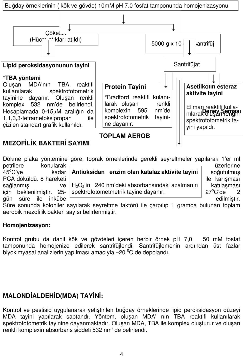 spektrofotometrik tayinine dayanır. Oluşan renkli komplex 532 nm de belirlendi. Hesaplamada 0-15µM aralığın da 1,1,3,3-tetrametoksipropan ile çizilen standart grafik kullanıldı.