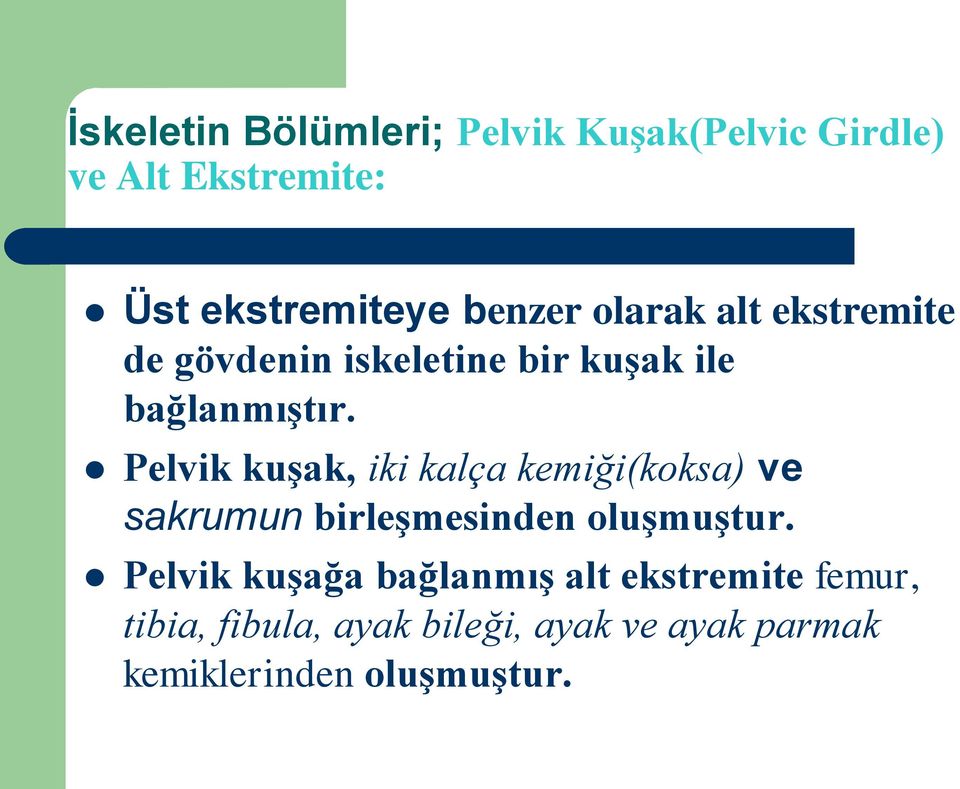 Pelvik kuşak, iki kalça kemiği(koksa) ve sakrumun birleşmesinden oluşmuştur.