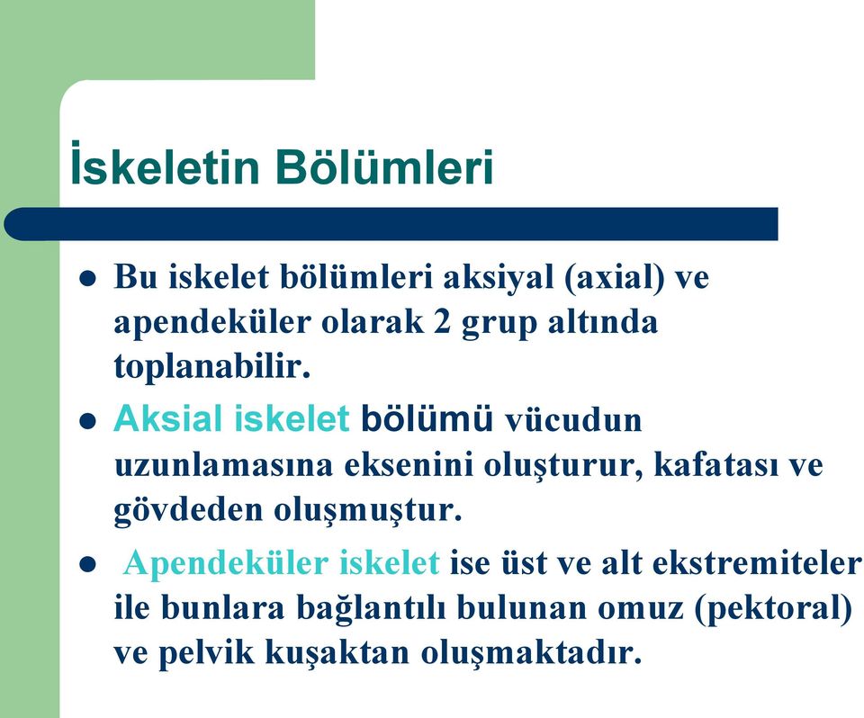 Aksial iskelet bölümü vücudun uzunlamasına eksenini oluşturur, kafatası ve