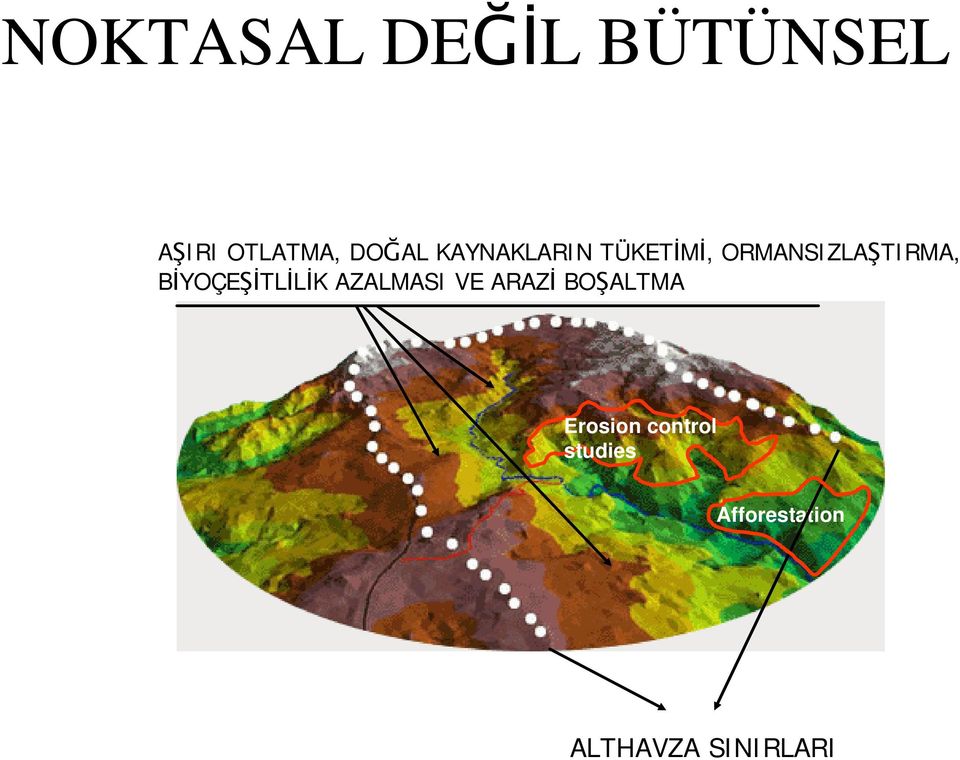 exploitation of natural resources, deforestation and loss of biodiversity