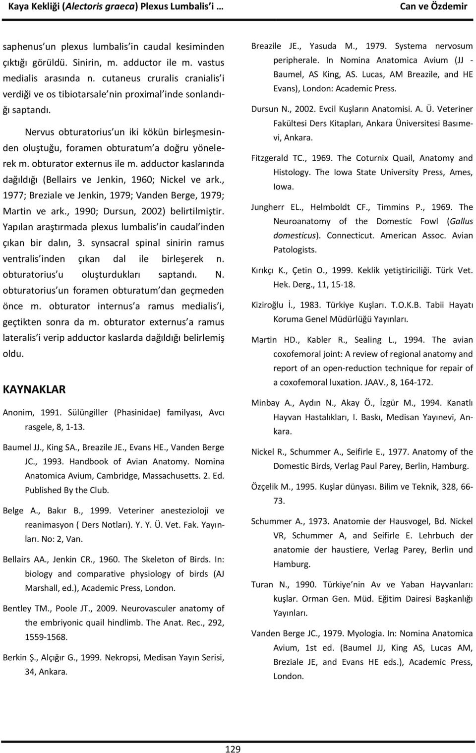 obturator externus ile m. adductor kaslarında dağıldığı (Bellairs ve Jenkin, 1960; Nickel ve ark., 1977; Breziale ve Jenkin, 1979; Vanden Berge, 1979; Martin ve ark.