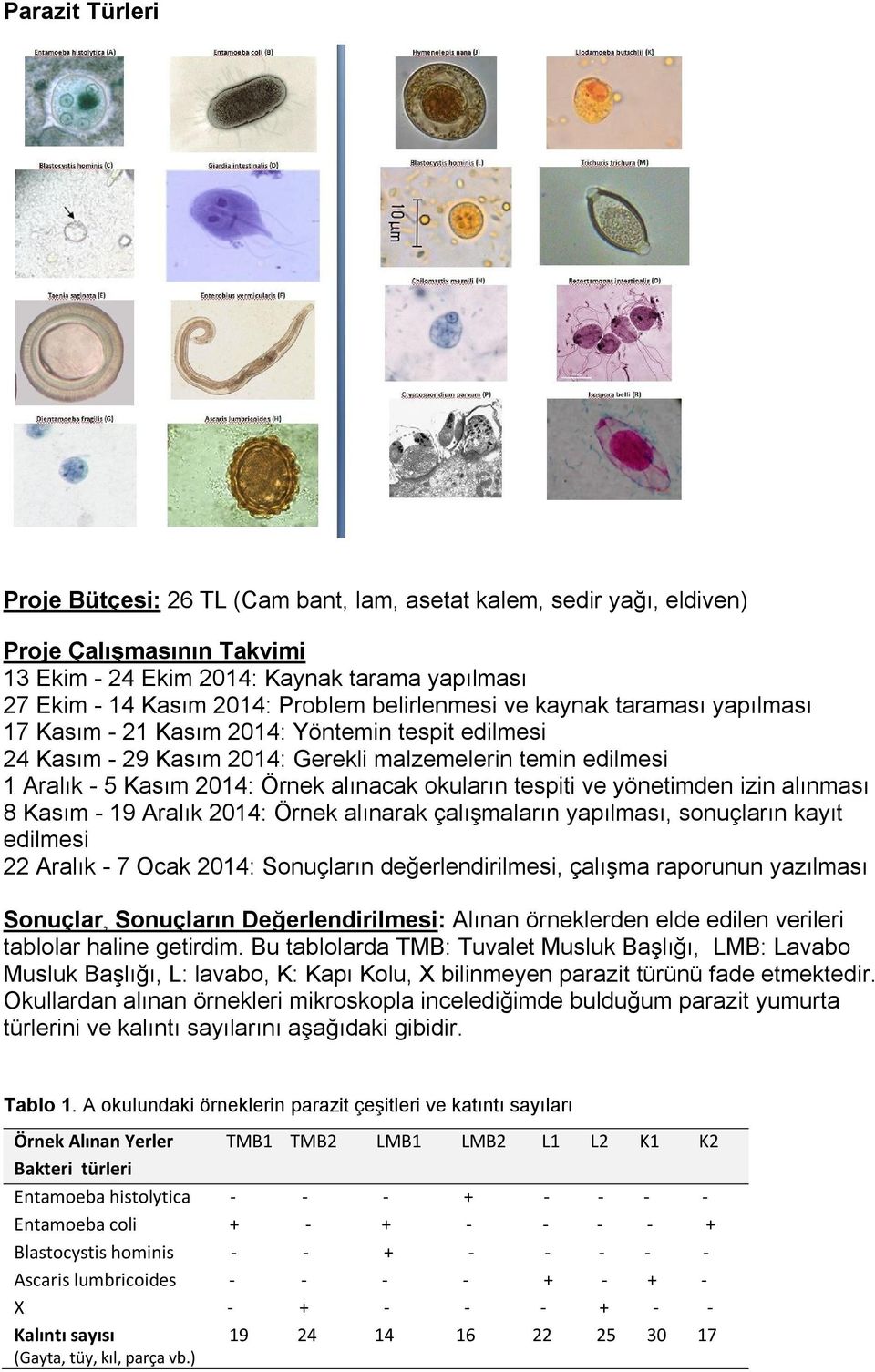 okuların tespiti ve yönetimden izin alınması 8 Kasım - 19 Aralık 2014: Örnek alınarak çalışmaların yapılması, sonuçların kayıt edilmesi 22 Aralık - 7 Ocak 2014: Sonuçların değerlendirilmesi, çalışma