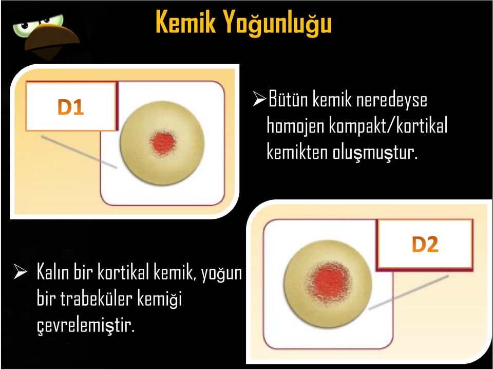 oluşmuştur.