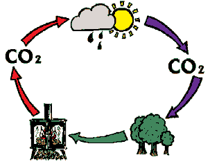 Biyoyakıtlar Biyoyakıtların avantajları: İklim değişikliği üzerinde olumlu etkiler ve sera gazı salımlarının azalması gibi olumlu çevresel etkiler Ulusal kaynakların kullanımını arttırarak enerji arz